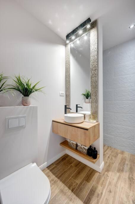 Apartament Oasis On Calea Victoriei Bukareszt Zewnętrze zdjęcie